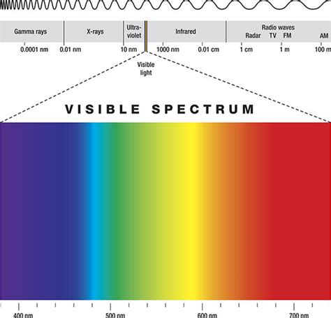 The Visible Light Spectrum — 1000Bulbs Blog