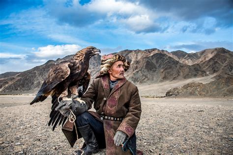 Falcon Images: Mongolia Golden Eagle Wolf Hunting