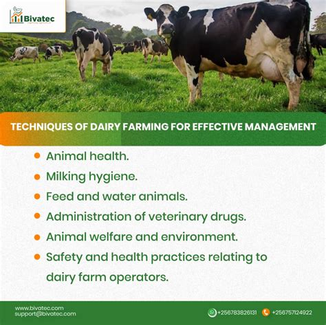 Achieving Excellence in Dairy Farming: Key Principles for Livestock Production