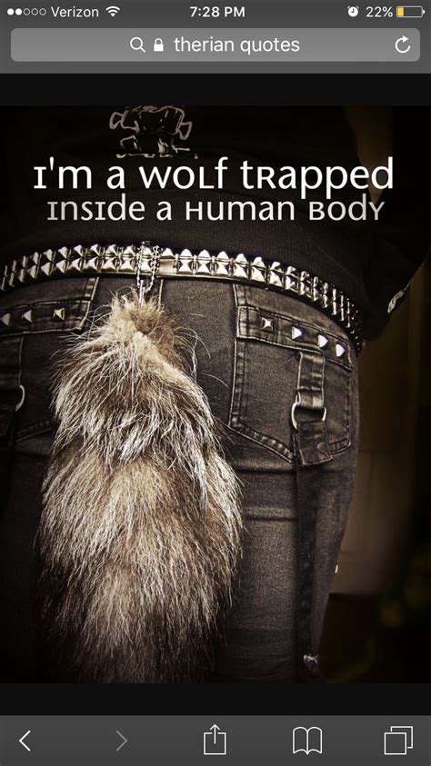 Therian quotes ️ Lone Wolf Quotes, Wolf Trap, Frankie Grande, Wolf Husky, She Wolf, Wolf Girl ...