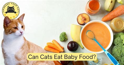 Can Cats Eat Baby Food? A Purr-fect Guide for Feline Parents