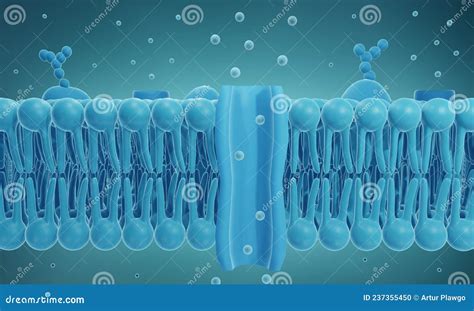 Canal Ionique Dans La Membrane Cellulaire Illustration Stock ...