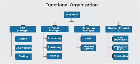 What Is Structure In An Organization