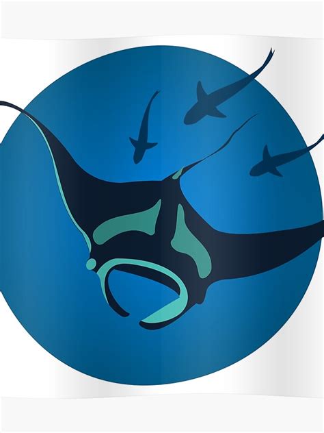 Manta Ray Vector at Vectorified.com | Collection of Manta Ray Vector free for personal use