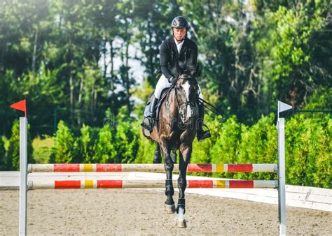 Showjumping Competition, Bay Horse And Rider In Black Uniform Performing Jump Over The Bridle ...