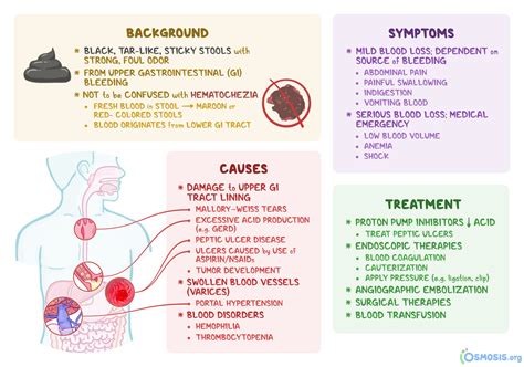 Blood in the stool - causes, symptoms, diagnosis and treatment [EXPLAINED] - Healthy Food Near Me