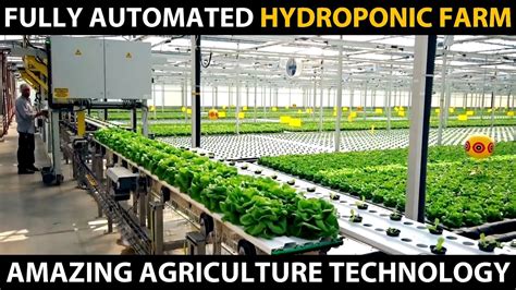 FULLY AUTOMATED HYDROPONIC FARM | Modern Hydroponic Farming | Amazing Agriculture Technology - Go IT