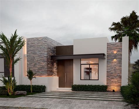 a modern house with palm trees in the front yard