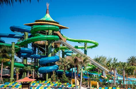 Which Florida Water Park Has the Most Thrilling Slide?