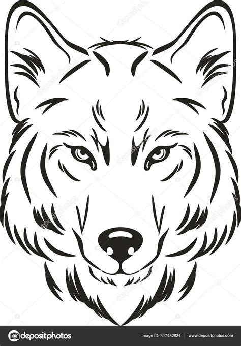 How To Draw A Wolf Head Front View