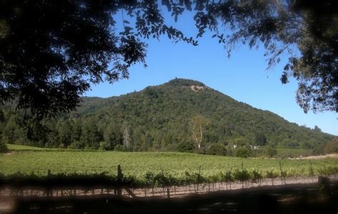 Photos - Sonoma Mountain Preservation