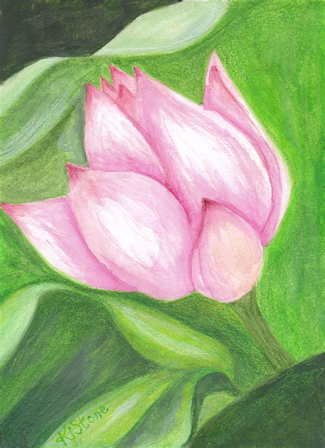 Pink Lotus Flower Painting by Karen Stone - Fine Art America