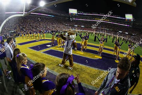 Lsu Mascot Mike Tiger During Game Editorial Stock Photo - Stock Image ...