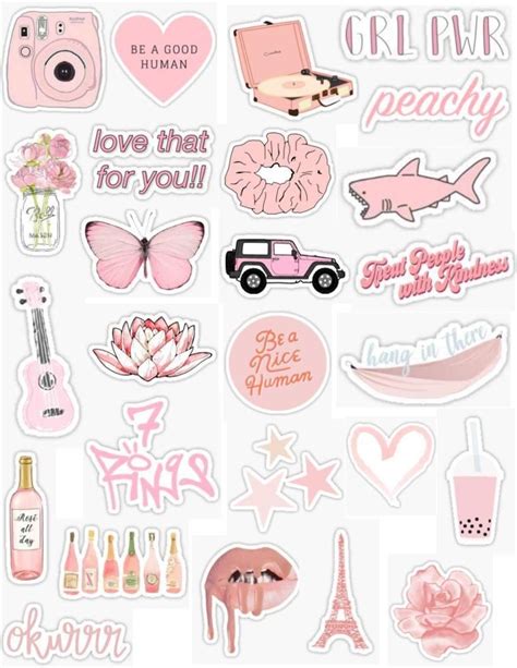 Vintage Pink Aesthetic Stickers