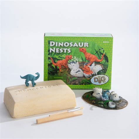 Fossils Mini Dig Kits and Educational Guide - Kids Love Rocks