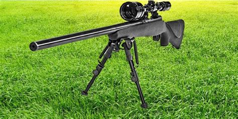 Best Bipod for Hunting Reviews & Buying Guide 2021