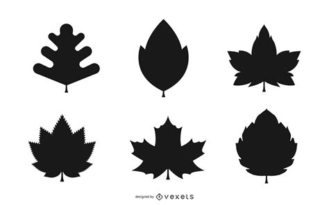 Autumn Leaves Silhouette Set In Black Vector Download