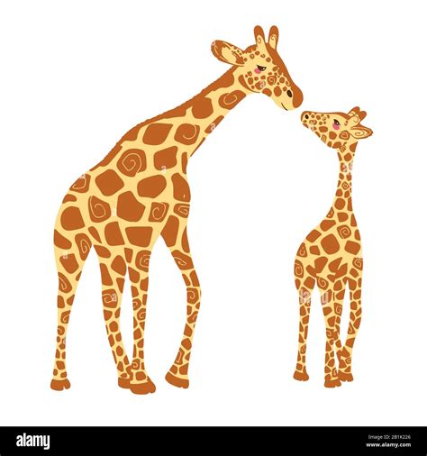 Two cute giraffes isolated on a white background. Baby giraffe and adult giraffe. Vector ...