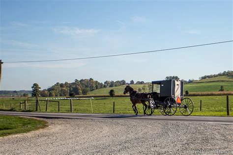 Amish Country Ohio - Dotted Globe