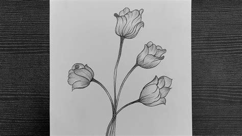 Easy Flower Drawings, Easy Drawings, Pencil Drawings, Step By Step Drawing, Lily Flower, Flowers ...