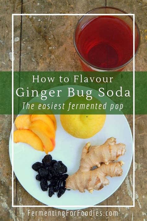 Ginger Bug Soda (10 Flavors!) | Recipe | Ginger bug, Fermentation recipes, Soda recipe