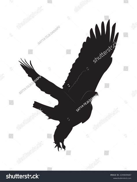 American Bald Eagle Flight Silhouette Vector Stock Vector (Royalty Free) 2249849687 | Shutterstock