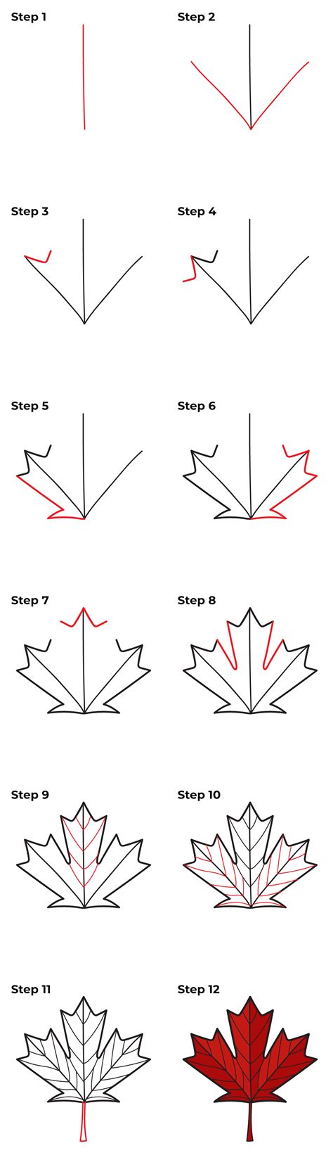 How to Draw a Canadian Maple Leaf | Maple leaf art, Maple leaf drawing ...