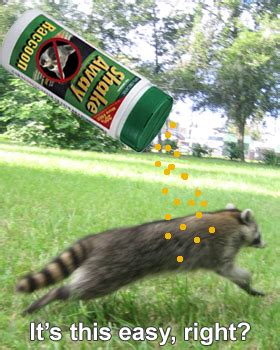 Raccoon Repellent - Natural Home Made Recipes and Tips - Humane Raccoon Removal