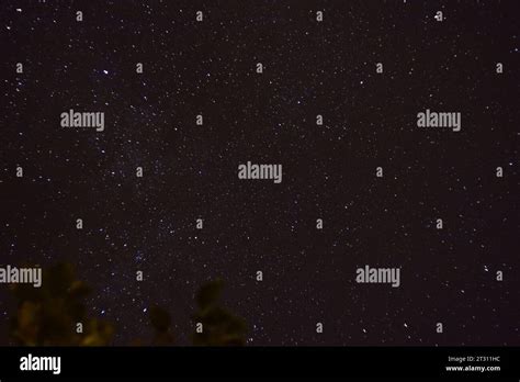 night sky & stars & trees Stock Photo - Alamy