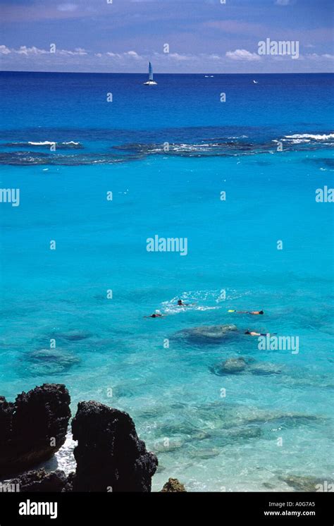 Snorkeling in one of Bermuda beautiful bays Stock Photo - Alamy