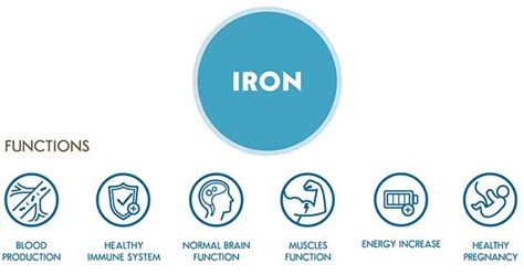 9 Health Benefits and Important Functions of Iron (2023)