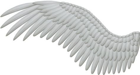 Angel wing Feather Clip art - Wings PNG png download - 1024*554 - Free Transparent Download png ...