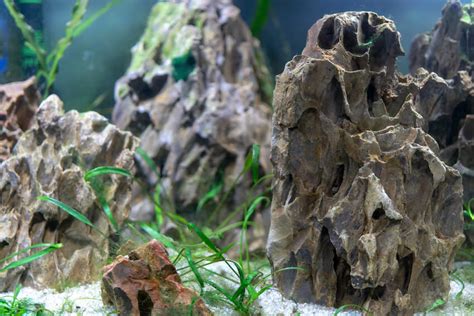 Best Rock for Freshwater Aquarium - The Fish Keeping & Aquarium Guide.