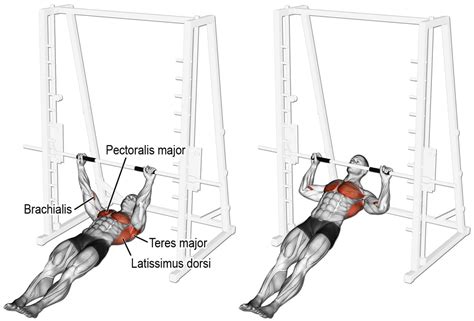 Horizontal Row Guide -- How-To, Muscles Worked, Variations, and ...