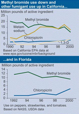 USDA ERS - Methyl Bromide Phaseout Proceeds