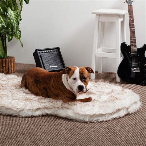 iHappyDog Luxury Faux Fur Orthopedic Dog Bed, Memory Foam Dog Bed for Small, Medium, Large and ...