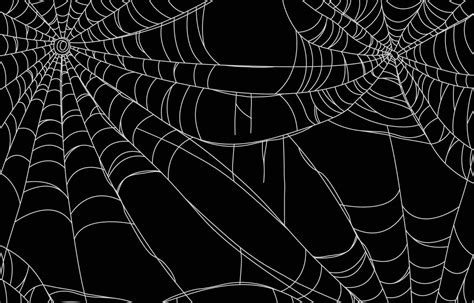 Download Spider Web Background