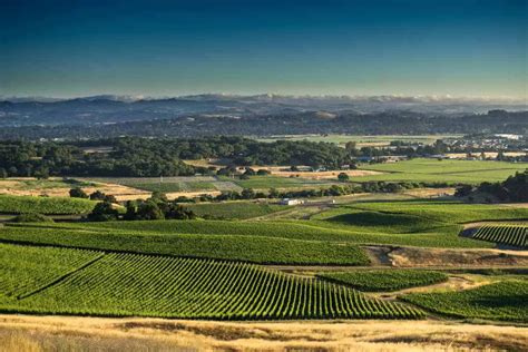 Discover the Best Sonoma County Hiking Trails