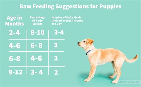 Nature's Domain Puppy Food Feeding Chart - ABIEWQS