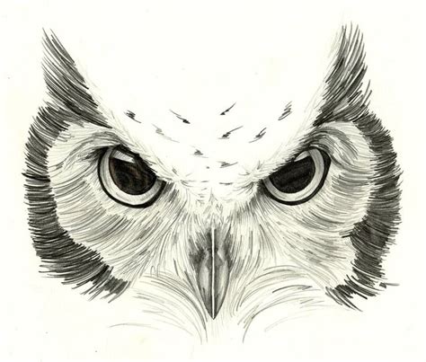 Owl Sketch by Hummingbird26 on DeviantArt | Owl tattoo design, Owl tattoo, Owl tattoo drawings