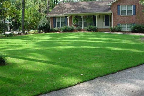 Quiet Corner:Bermuda Grass Lawn Care - Quiet Corner