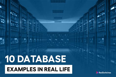 10 Unique Examples Of Databases In Real-Life