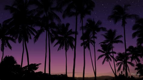 Purple Sky Sunset wallpaper | nature and landscape | Wallpaper Better