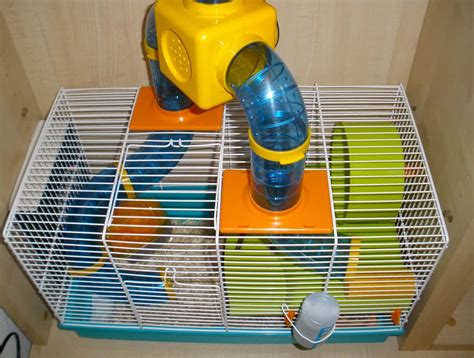 How To Choose The Best Cage For Your Hamster – Hamsters 101