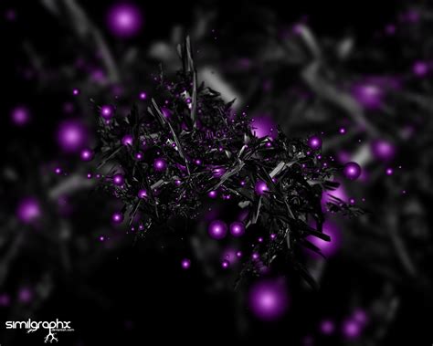 🔥 [73+] Purple And Black Wallpapers | WallpaperSafari