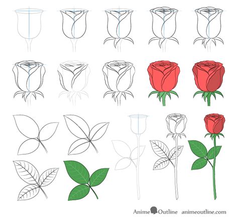 Rose Flower Drawing Step By | Best Flower Site