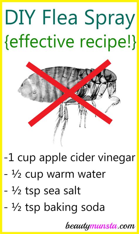 Homemade Flea Spray with Vinegar and Baking Soda - beautymunsta - free natural beauty hacks and ...