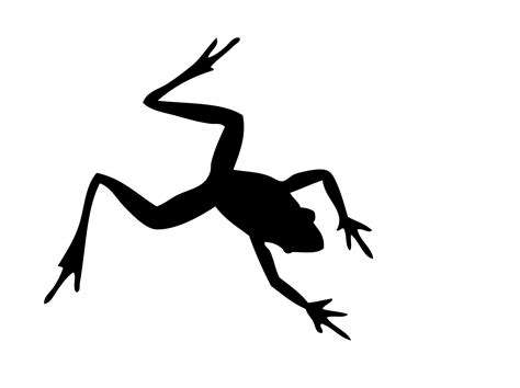 Frog Silhouette Free Stock Photo - Public Domain Pictures