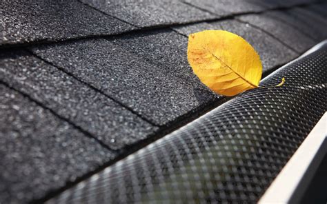 Leaf Guard Gutter Systems - superiorseamlessgutter.com