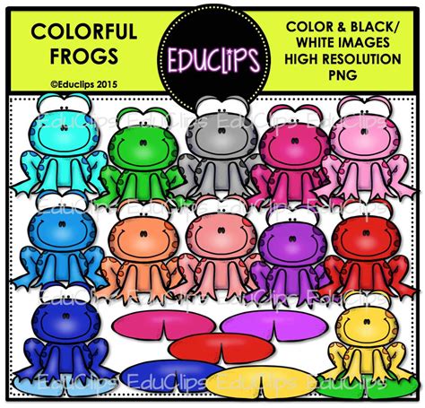 Colorful Frogs Clip Art Bundle (Color and B&W) - Edu Clips